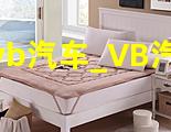 vb汽车_VB汽车租赁系统